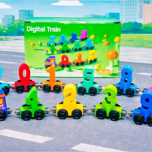 TREN IMANTADO EN CAJA